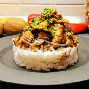 Hähnchen mit Champignons in Rahmsauce auf Reis